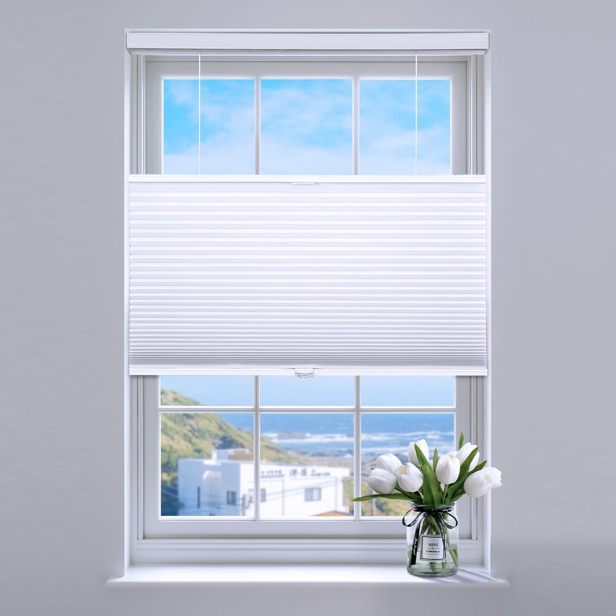 Sunfree Top Down Bottom Up Cellular Blindscellular Shades Blackout Honeycomb