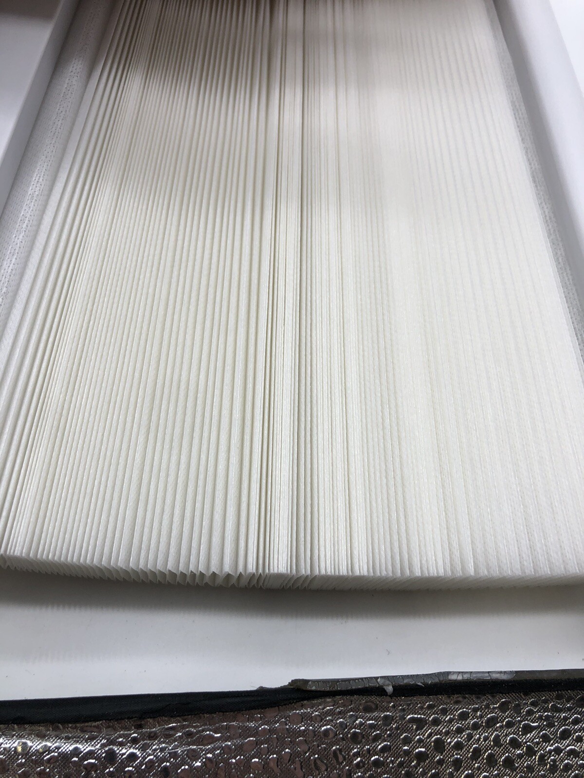 32.5 In x 64 In White Light Filtering Cordless Pleated Cellular shade.