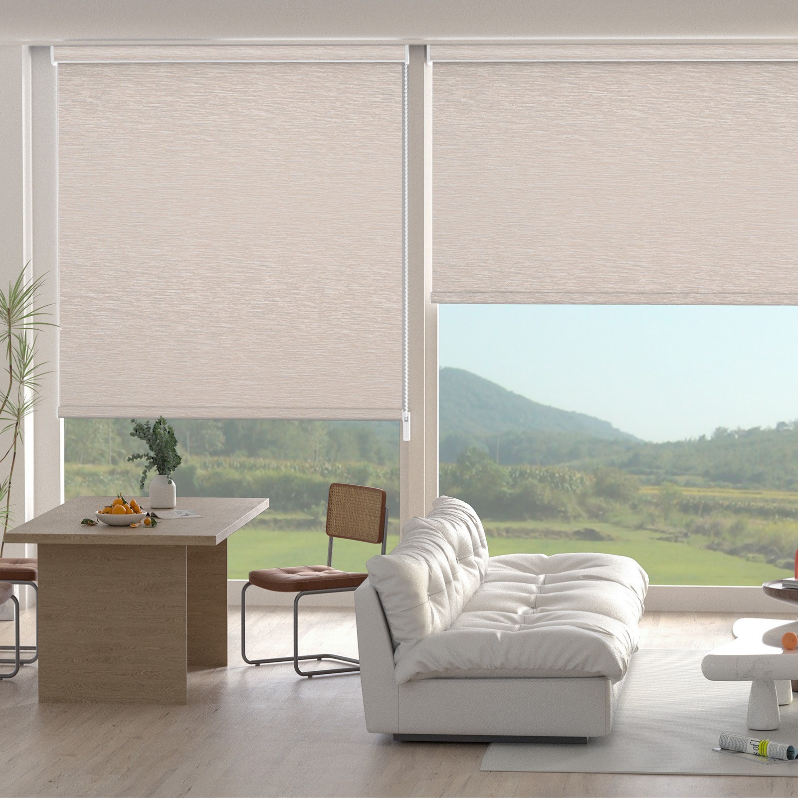 Changshade CUSTOM Curtains Window Blinds Blackout Roller Shades Room Darkening