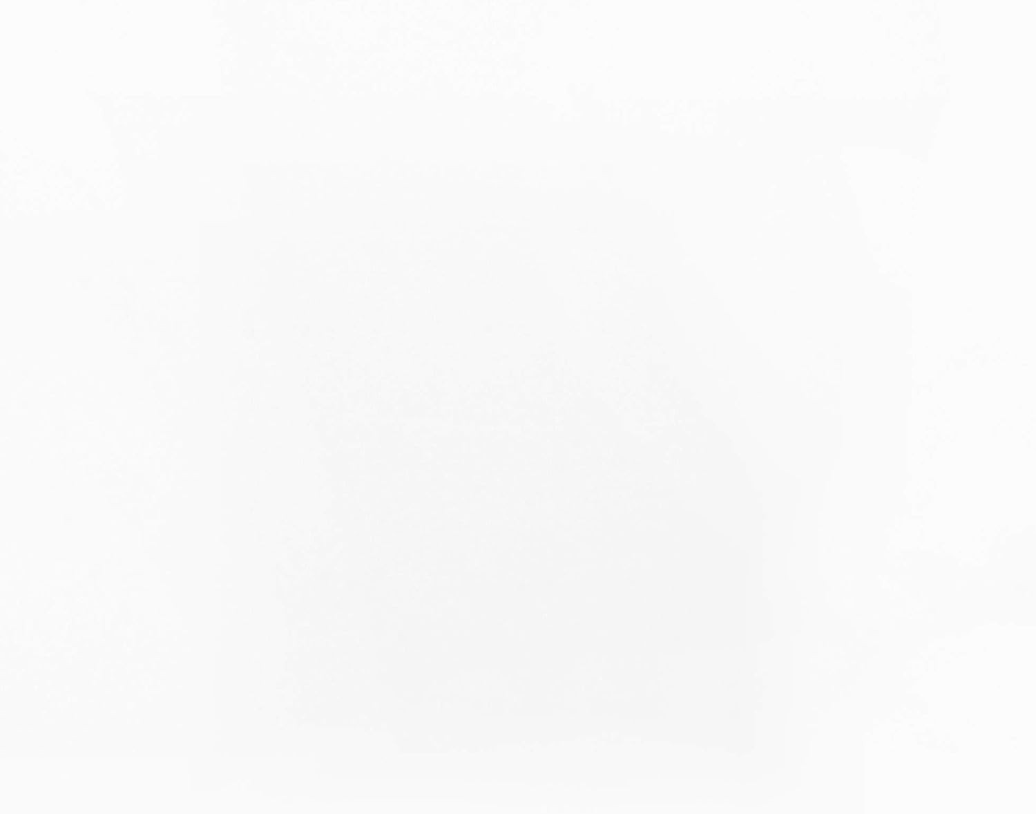 White Vinyl Vertical Blind Slats – 20pk 94.5″ L x 3.5″ W Smooth Curved