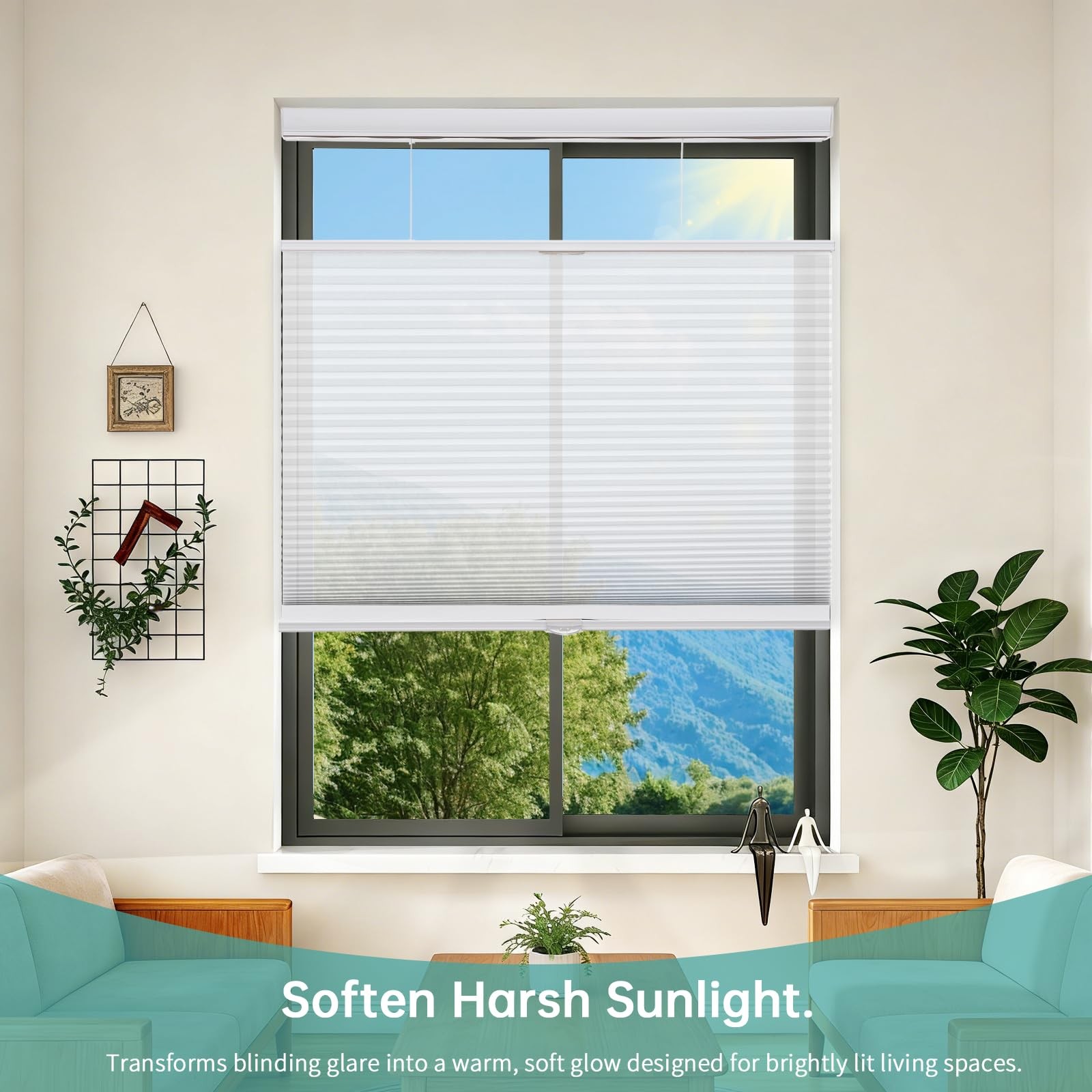 Changshade Top Down Bottom Up Light Filtering Cellular Shades Cordless