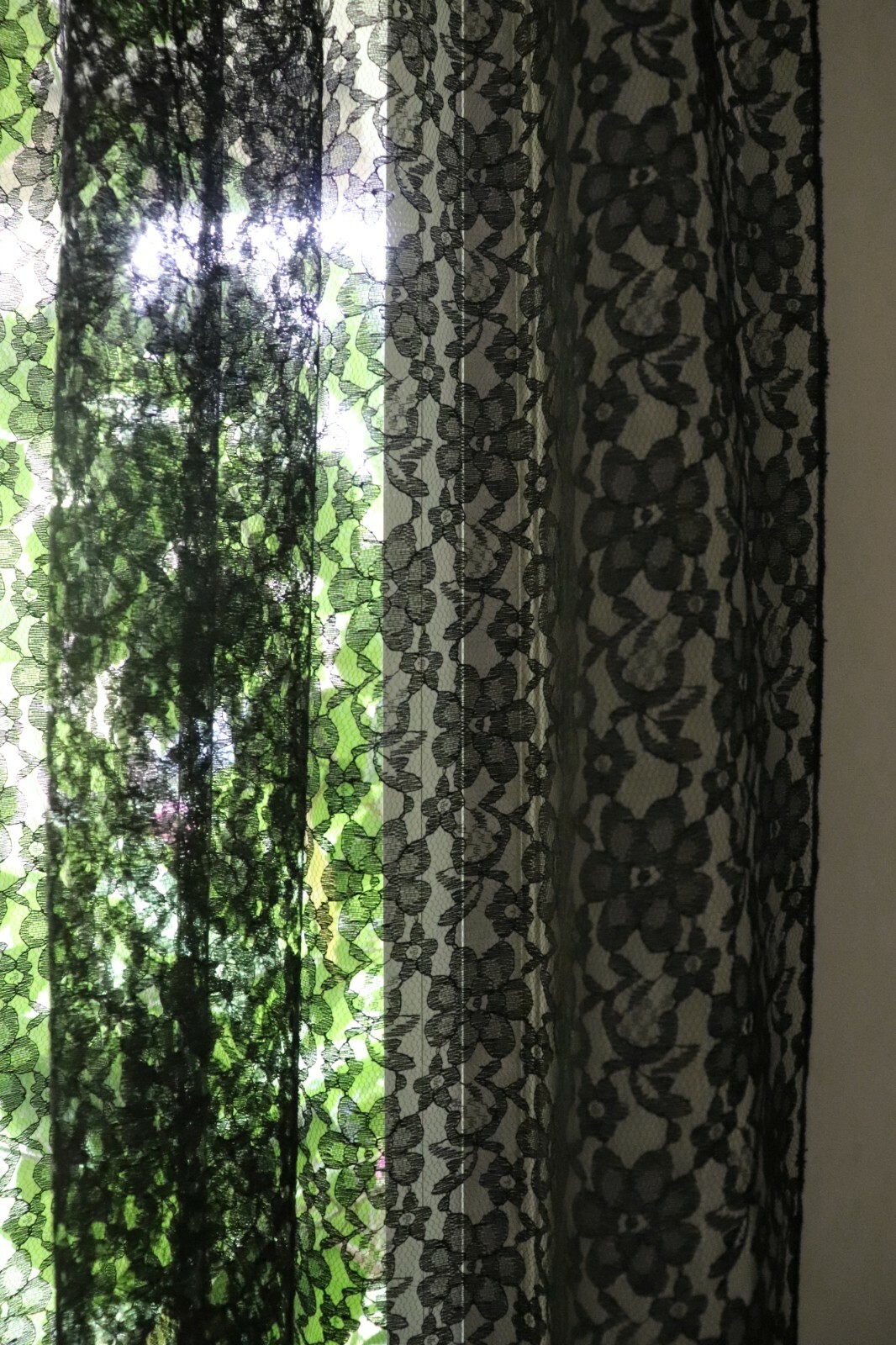 Floral Sheer Lace Window Curtain Panel Decorative Drapes for Home/Special Events