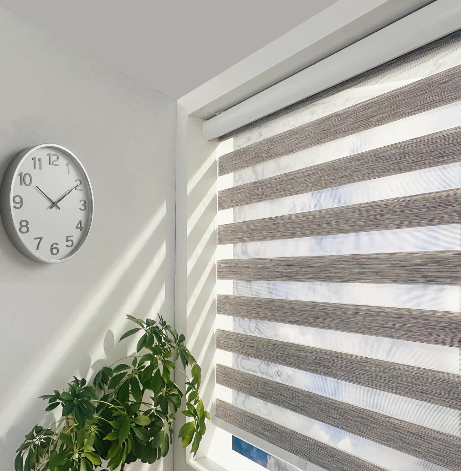 Cordless Zebra Blinds Roller Shades, Grey, 72″ W X 72″ H | Cordless Safety Desig