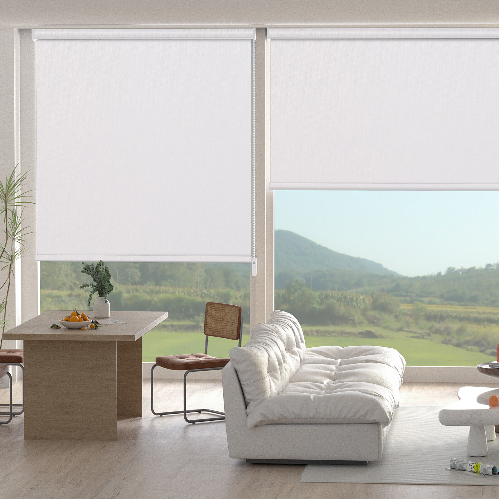 Changshade CUSTOM Blackout Corded Roller Shades Window Blinds Curtains -5Colors
