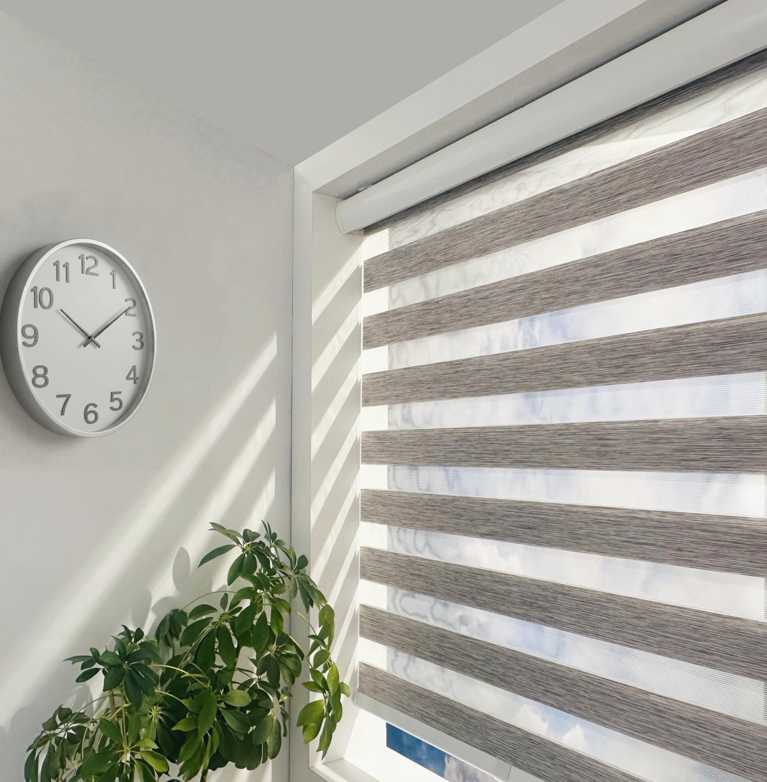 Cordless Zebra Blinds – Light Filtering Dual-Layer Window Shades for Privacy …