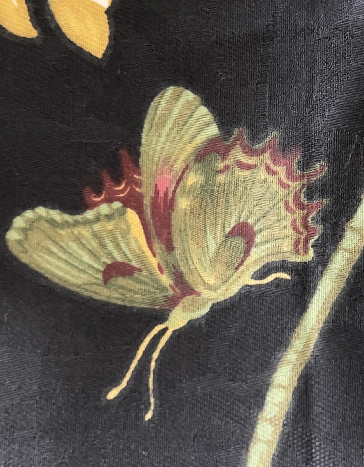 1 of 5 WAVERLY WILLIAMSBURG GARDEN MAGNOLIA BLACK FLORAL LINED DRAPE PANEL 41×88