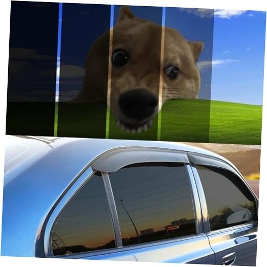 20% Window Tint Car with 20 Percent VLT 20 in x 20 Ft 20In x 20Ft 20% Vlt