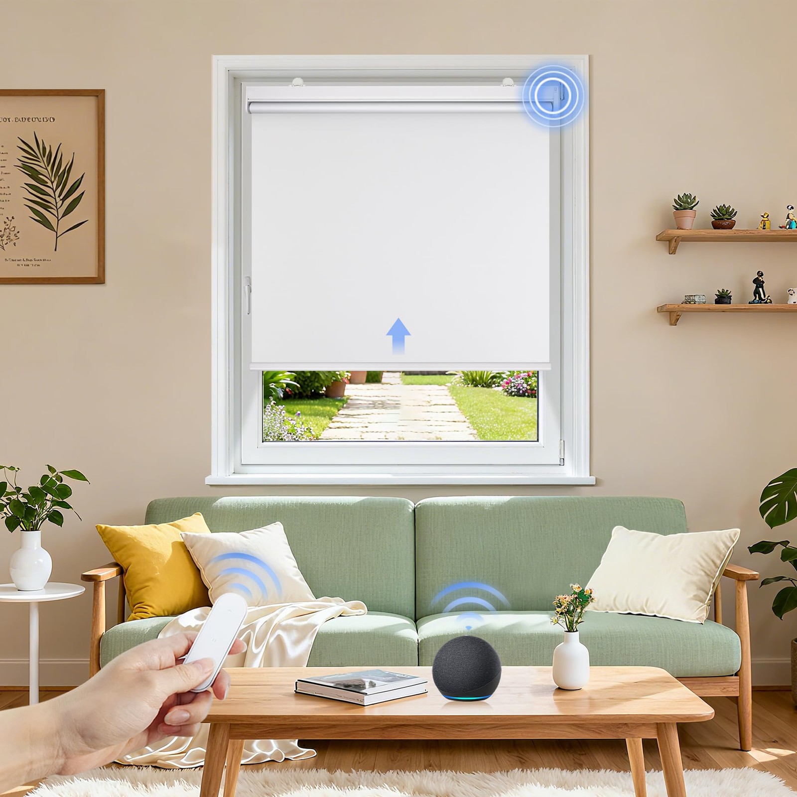 Grandekor Motorized Blinds Cordless Electric Roller Shade Window Treatments