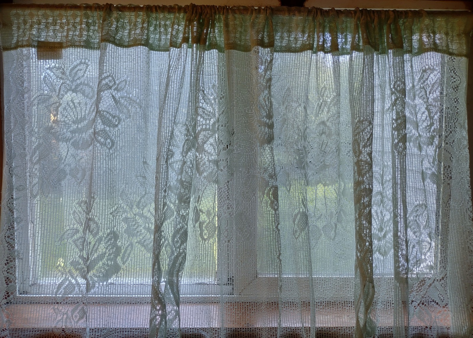 Floral Lace Sheer Light Mint Green Single Curtain Panel Asymmetrical Hem