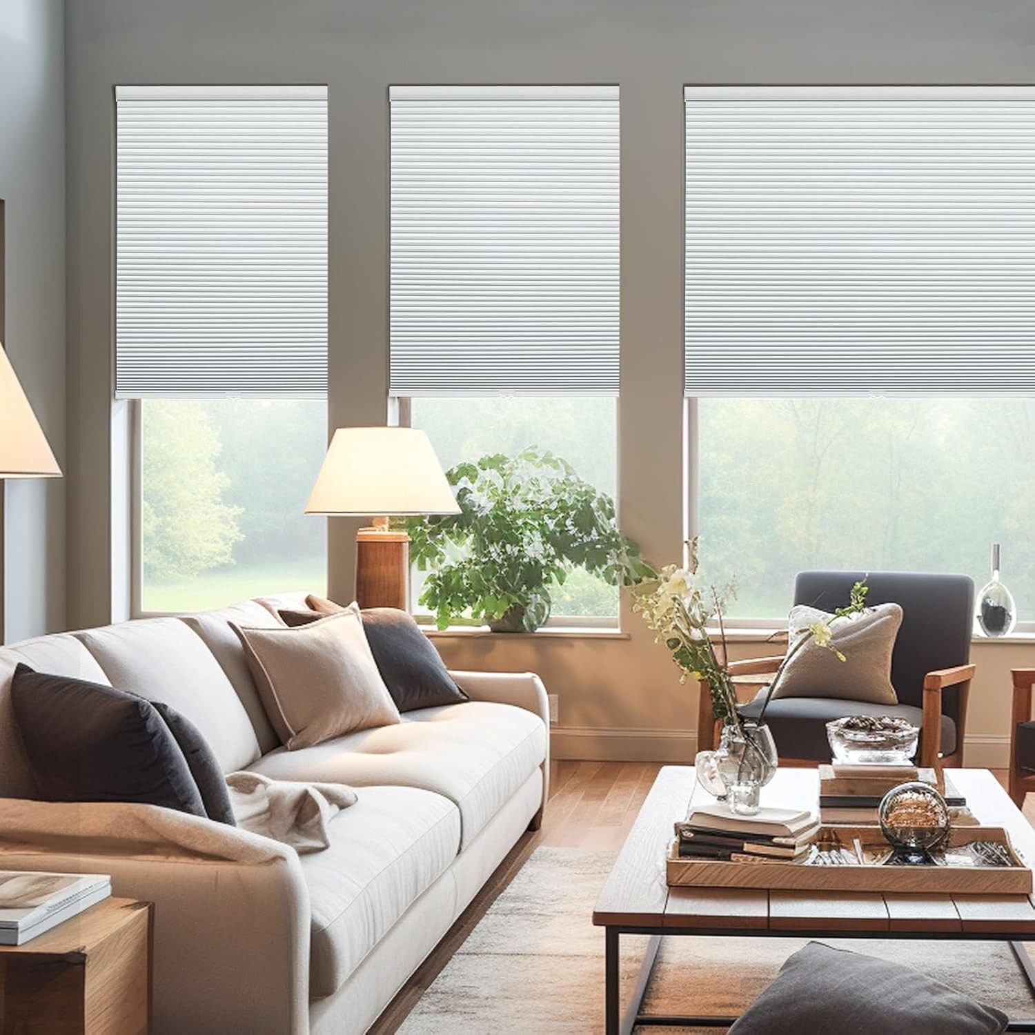 Cordless Cellular Shades, Blackout Honeycomb Shades for Windows, Pull Down Pl…