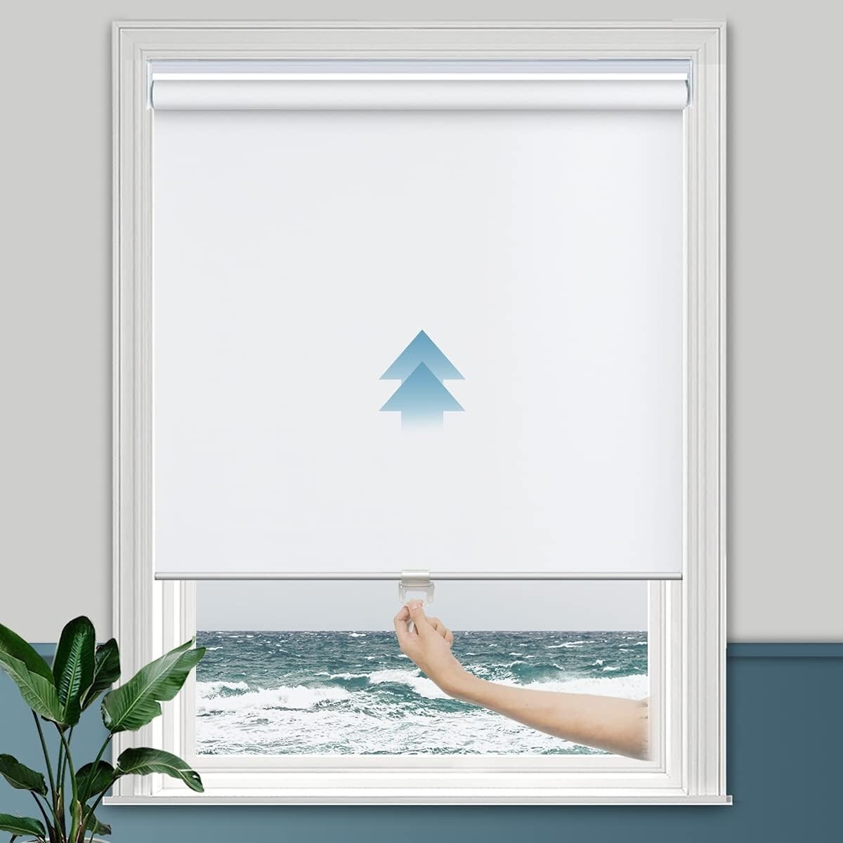 Sheer Shades Cordless Window Blinds 100% Blackout Roller Shades 30W x 72H White
