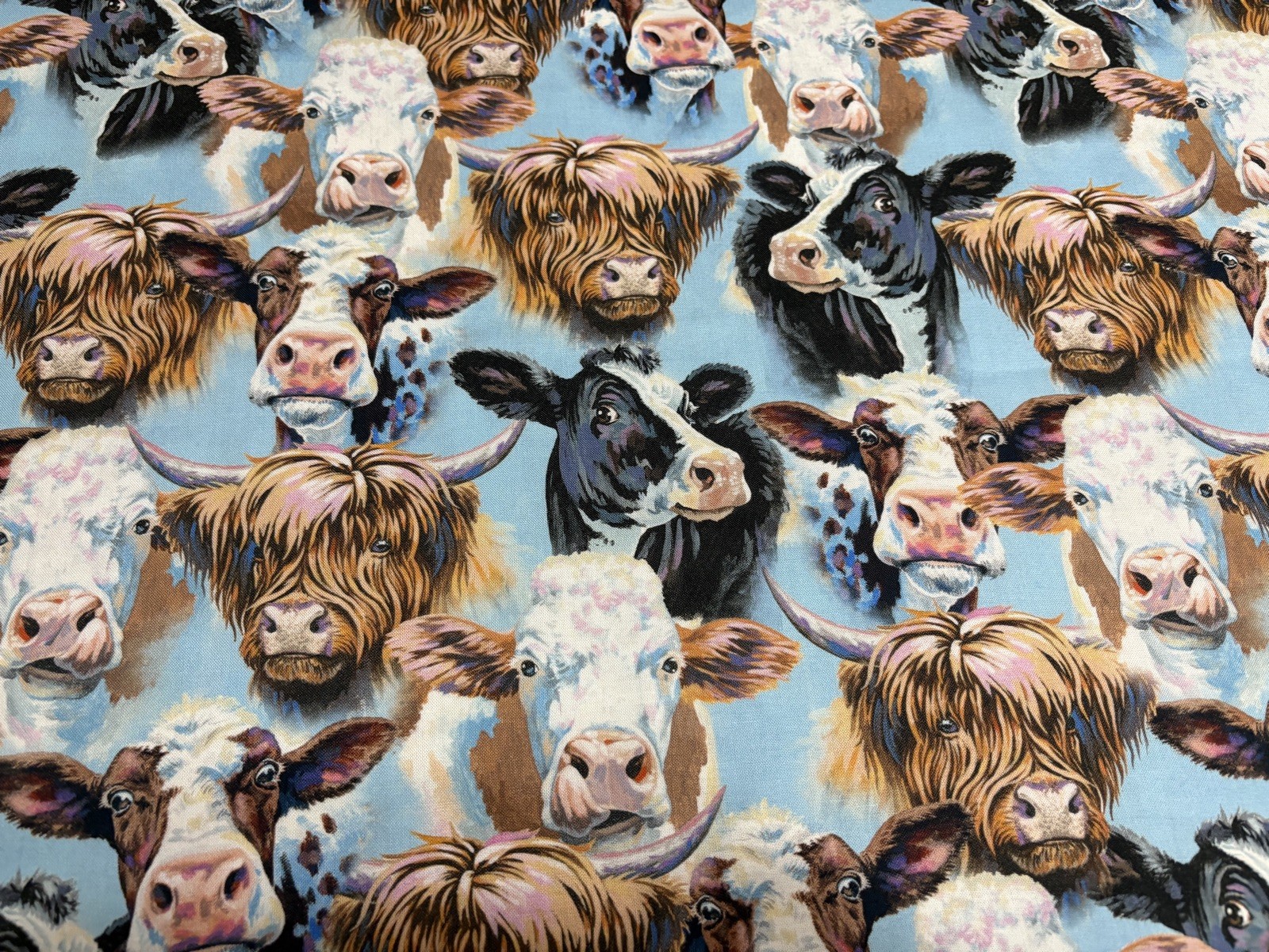 Highland Cow Faces Window Curtain Valance Boys Bedroom Nursery or Any Room!