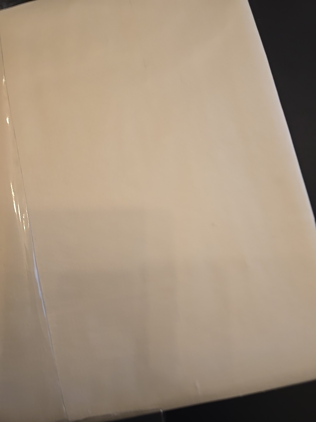 Restoration Hardware RH Thai Silk Solid Curtain Panel White 108×50