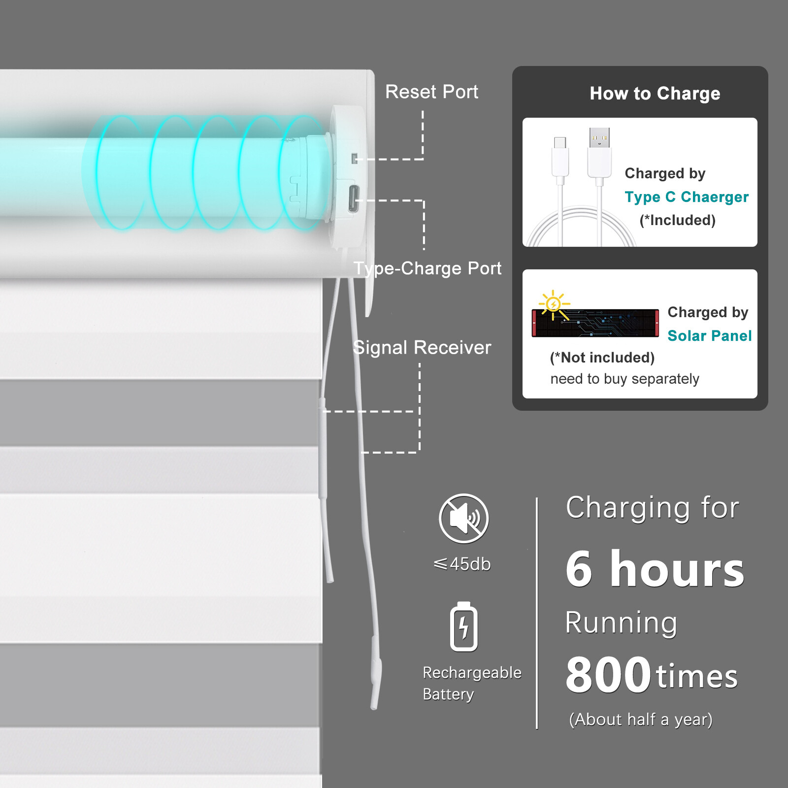 Smart Light Filtering Zebra Roller Blinds Work with Alexa Phone Control