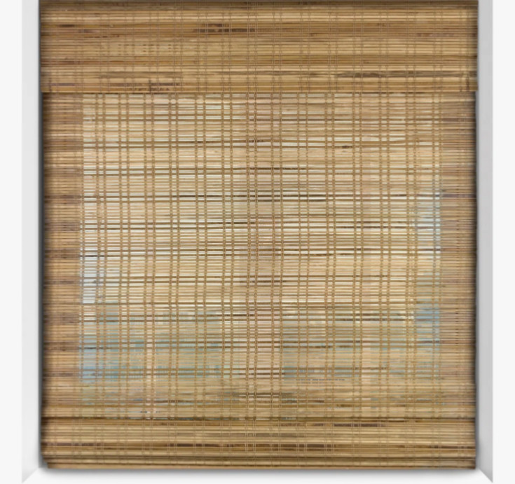 arlo blinds